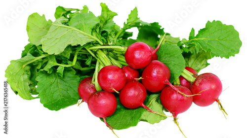Fresh red radishes with vibrant green leafy tops bunched together