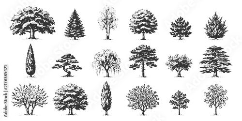 Cuadro en lienzo Detailed hand drawn landscape trees and botanical plant sketches collection for architectural elevation design vector illustration