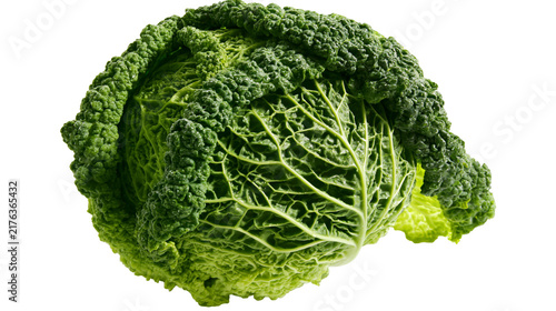 Fresh whole savoy cabbage with crinkled dark green leaves