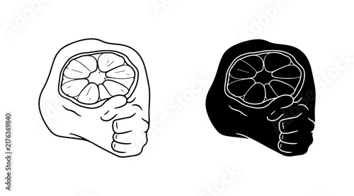 Hand Holding Citrus Slice, Minimalist Outline and Silhouette Vector Art