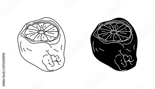 Dried Lime Vector Icons, Black and White Citrus Fruit Illustrations, Food Ingredient Graphics