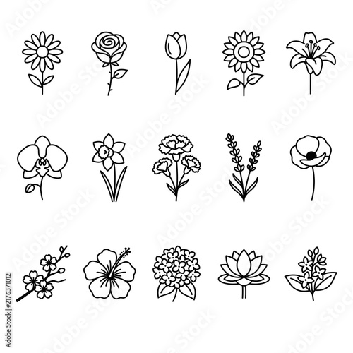 Flower outline set with daisy tulip rose sunflower orchid lavender and peony line drawings