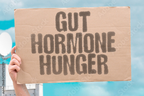 Obraz na plátně "Gut hormone hunger" Ghrelin and others regulate appetite