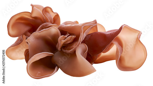 Fresh brown wood ear mushroom cluster with wavy gelatinous texture