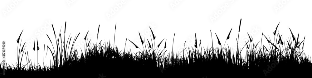 Obraz premium Meadow silhouette with grass, plants on plain. Panoramic summer lawn landscape with herbs, various weeds. Herbal border, frame element. Black horizontal banners. Vector illustration