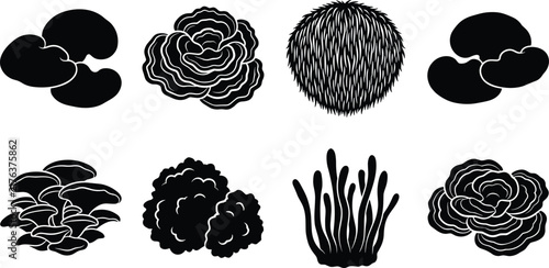 Set of black silhouette mushroom and fungus vector icons on a white background