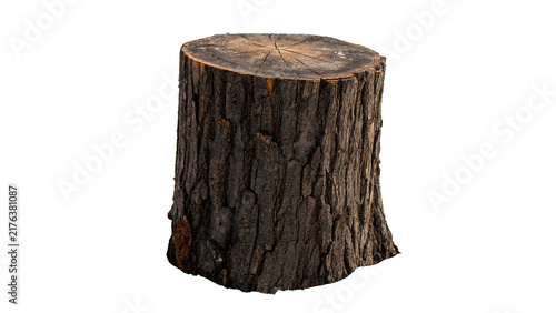 Rustic cut wooden tree stump log isolated on transparent background blank organic timber material