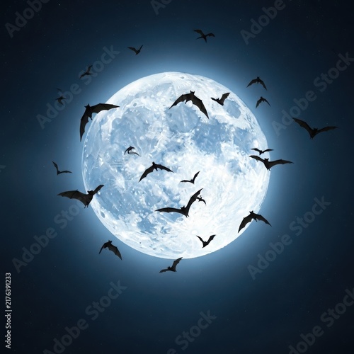 Silhouette birds flying around a full moon at night