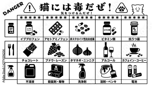 Educational Safety Infographic Warning Pet Owners About Common Household Items That Are Toxic and Dangerous to Domestic Cats