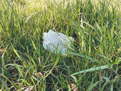 Fotografie A piece of plastic litter partially hidden among tall green grass, highlighting environmental pollution and the impact of waste on nature