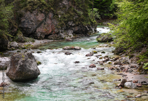 Картината върху платно Crystal clear turquoise river flowing through Orrido dello Slizza gorge in Tarvi