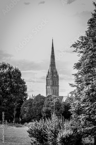Foto Black and White View of Salisbury Cathedral Spire Framed by Trees