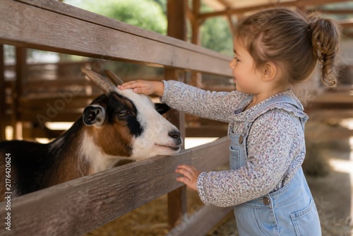 Child petting goat in petting zoo environment