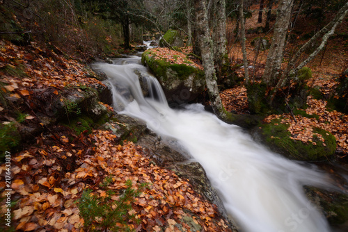 Konstfotografi Close view of water tumbling over a moss-covered ledge, surrounded by autumn leaves and dense forest vegetation