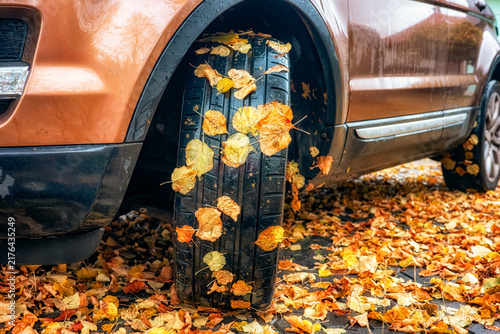 Autumn leaves stuck to car tire in rainy fall weather