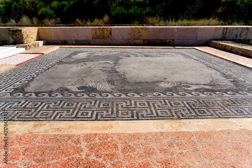 Принти на полотні The 4th century BC pebble mosaic floor inside the royal banquet room of the Palace of Philip II
