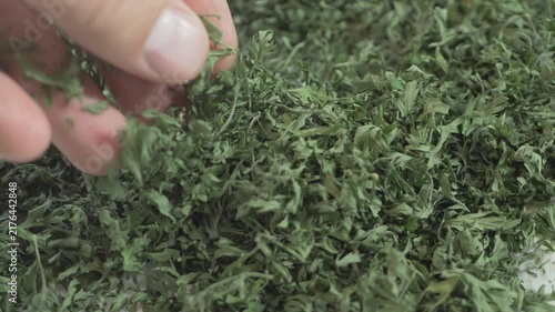 Hand moves through dried parsley laid out like brick fragments sorted for facade reconstruction symbolizing commitment to breathe life into an old estate and transform it