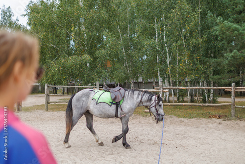 Foto Grey saddled horse walks in sand arena near wooden fence while person in foregro