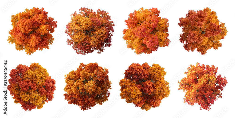 Obraz premium PNG Vibrant autumn trees in various shades of orange and red on transparent background