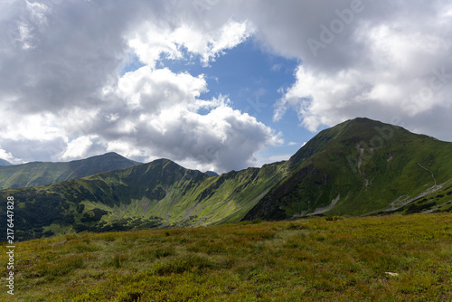 Mountain Valley View and Grassy Foreground