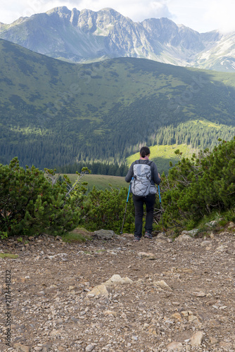Canvastavla Hiker Trekking Down Rocky Trail Surrounded by Pines and Mountain Scenery