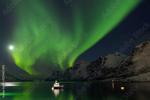 Northern lights over a Norwegian fjord near Tromsø