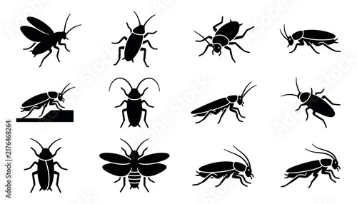 Set of black silhouette icons of cockroaches in different poses and angles