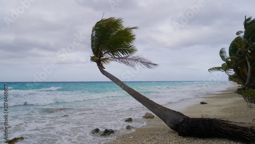 Obraz na płótnie A dramatic daytime view of a windy PK9 Beach in Fakarava, French Polynesia, show