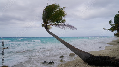 фотографія A dramatic daytime view of a windy PK9 Beach in Fakarava, French Polynesia, show