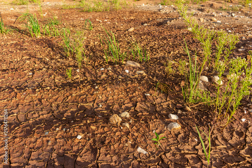 Foto Cracked parched earth texture showing deep fissures from extreme drought with sp