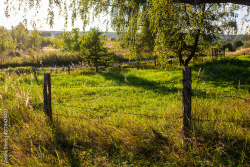 Foto Rustic barbed wire fence runs through a lush green meadow, glowing under warm go