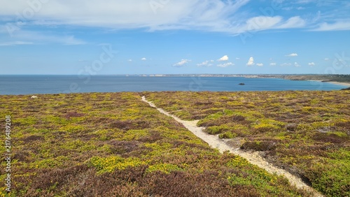 Canvastavla Beau panorama sur la pointe de Pen Hir depuis les falaises du Cap de la Chèvre,
