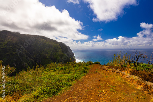 Принти на полотні Panoramic ocean view from a verdant cliffside under a blue sky with clouds in Ma