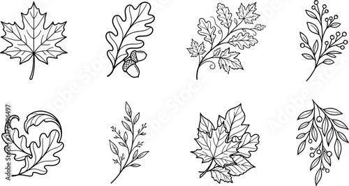 Collection of hand-drawn botanical illustrations featuring various autumn leaves, oak branches with acorns, berry sprigs, and maple foliage arranged in a clean set.