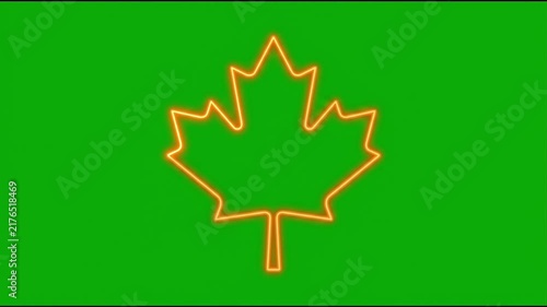 Glowing Neon Maple Leaf Outline Animation on Green Screen Chroma Key