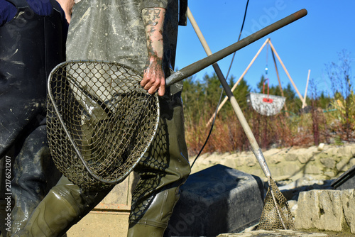 Fishermen in waders holding nets and preparing to catch fish, sunny day, muddy hands, green forest in the background