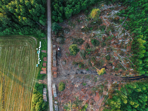 Konstfotografi Aerial view of a cleared forest area with felled trees and stacked logs