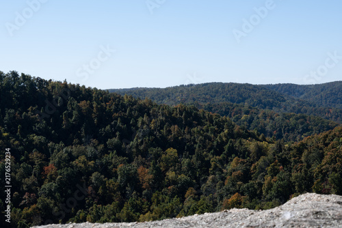 Foto trees and mountains overlook