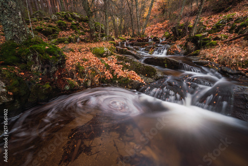 Fotografie A multi-tiered stream cascades through moss-covered rocks and fallen leaves before curling into a swirling pool in the foreground