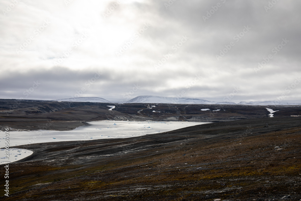 Fototapeta premium Canada's High Arctic Landscape