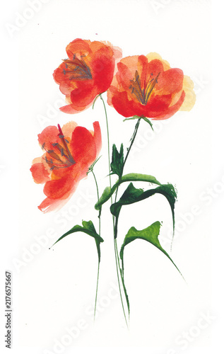 Bouquet con tre fiori rossi e foglie dipinti ad acquerello, illustrazione isolata su sfondo bianco