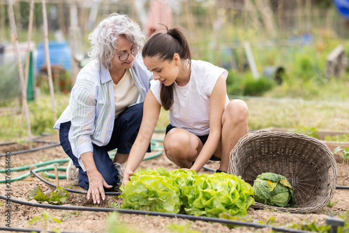 Foto Mature woman with granddaughter enjoy gardening