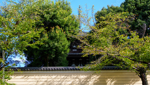 奈良県奈良市、三条通、元興寺の三重塔が見える景色