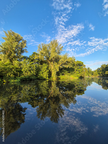 Blue reflecting pool and luxuriant green trees and bush in Norfolk Broads