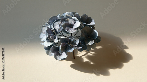 Decorative Dried Flower Arrangement Against Light Background