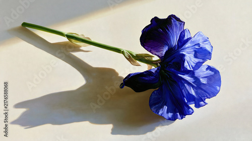Blue Flower with Green Stem on Light Background