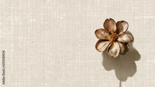 Delicate Dried Flower on Textured Background