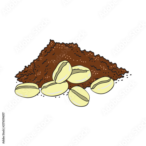 coffee beans on a white background