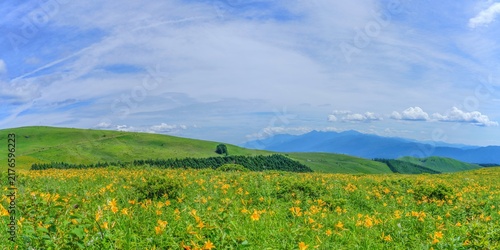 車山高原で見た夏の高原に咲き誇るニッコウキスゲの花畑と青空のパノラマ風景