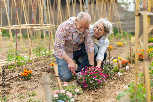 Elderly couple tending to various flowers in their garden together